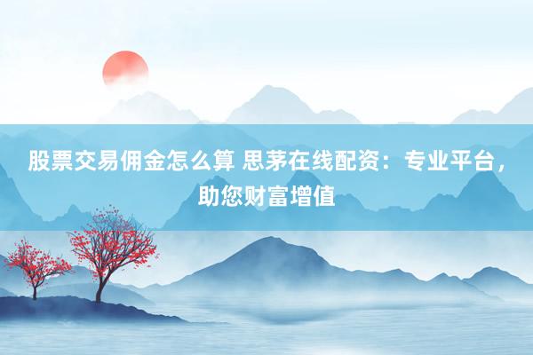 股票交易佣金怎么算 思茅在线配资：专业平台，助您财富增值