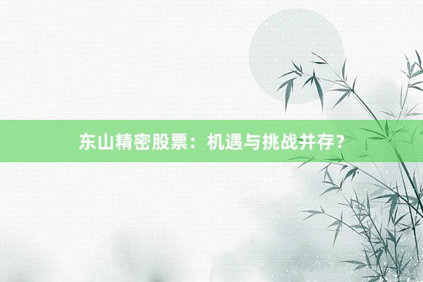 东山精密股票：机遇与挑战并存？