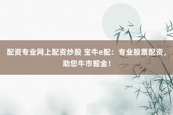 配资专业网上配资炒股 宝牛e配：专业股票配资，助您牛市掘金！