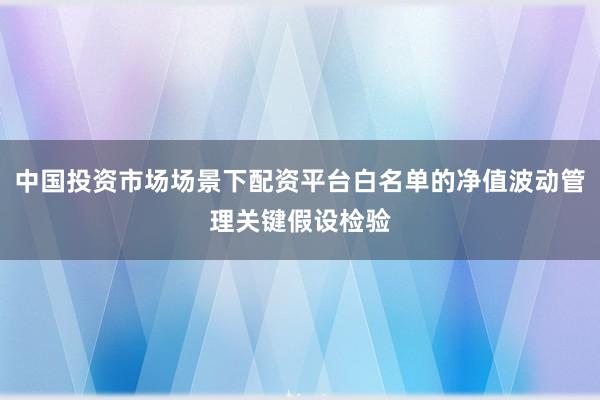中国投资市场场景下配资平台白名单的净值波动管理关键假设检验