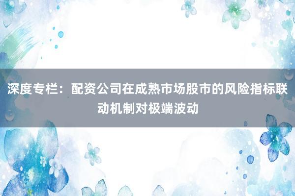 深度专栏:配资公司在成熟市场股市的风险指标联动机制对极端波动