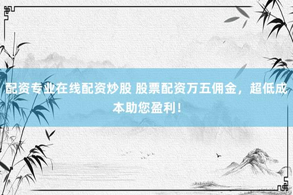 配资专业在线配资炒股 股票配资万五佣金,超低成本助您盈利!