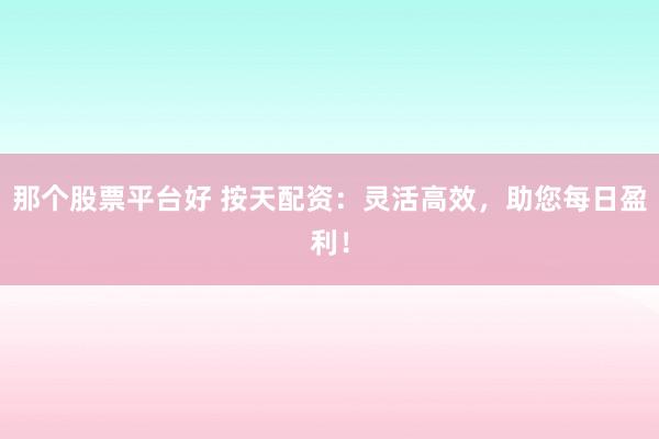 那个股票平台好 按天配资:灵活高效,助您每日盈利!
