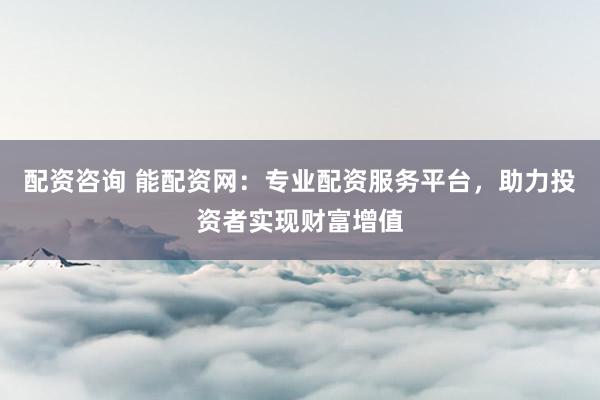 配资咨询 能配资网：专业配资服务平台，助力投资者实现财富增值