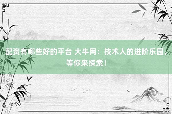 配资有哪些好的平台 大牛网：技术人的进阶乐园，等你来探索！